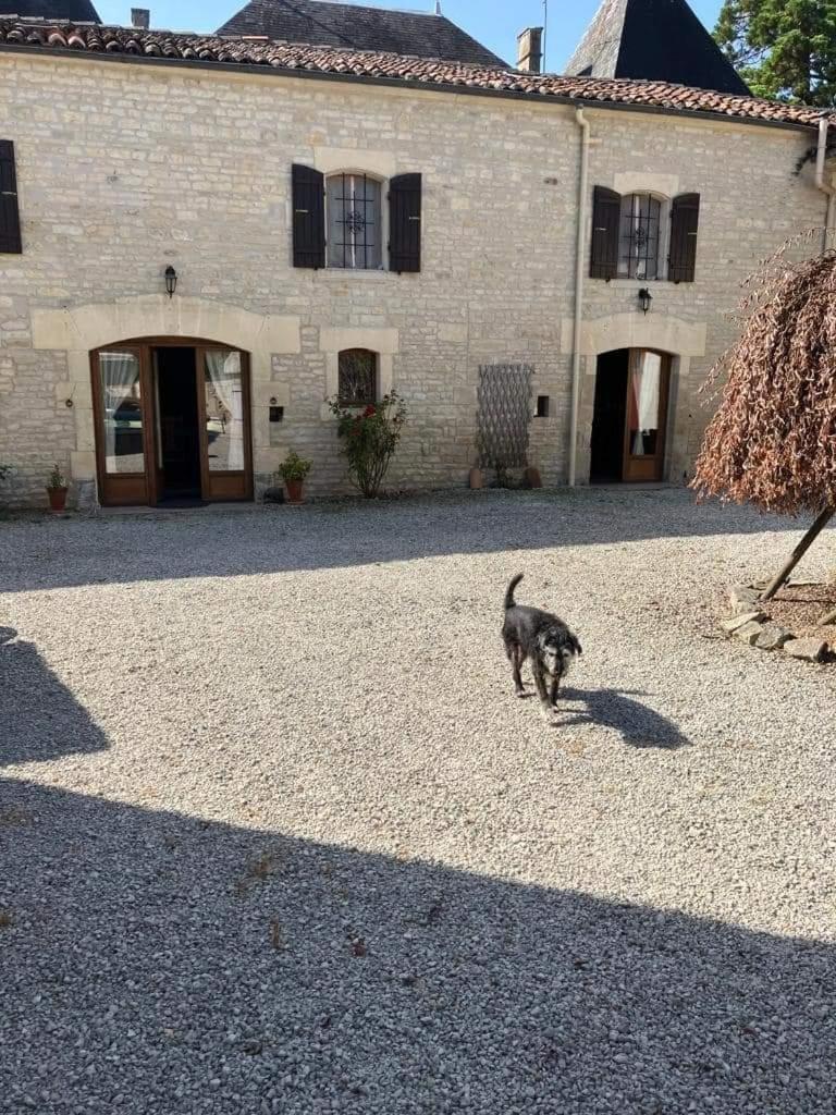 Les Cygnes Noirs Bed & Breakfast Aujac  Екстериор снимка